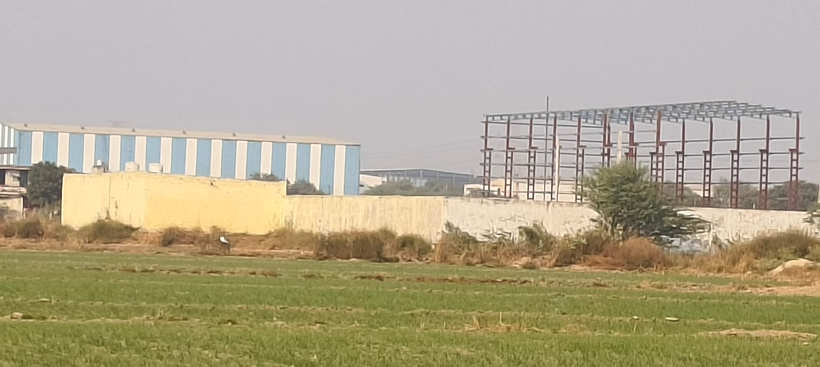 Industrial Plot For Sale in Dream Home 