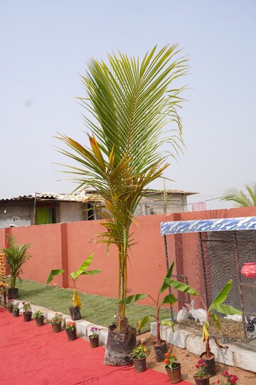  Land – Garden View at Peddapur - for Sale