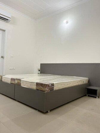 3 BHK Builder Floor For Rent in Unitech South City 1 South City 1 Gurgaon  7973183