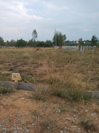 Plot For Resale in Madivala Bangalore  7973214