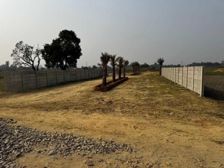 undefined, wazirganj  1000 Sq.Ft. Plot In Wazirganj Lucknow 7973303