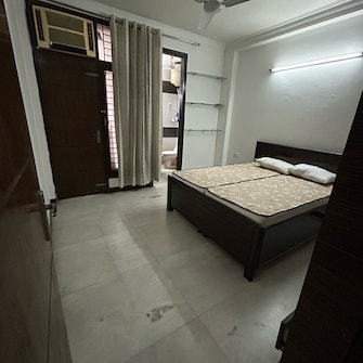 3 BHK Builder Floor For Rent in Kotla Mubarakpur Delhi  7973393