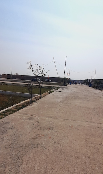 Plot For Resale in Jewar Greater Noida  7973638