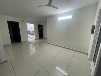 3 BHK Apartment For Rent in Maxxus Elanza International Airport Road Zirakpur  7973639