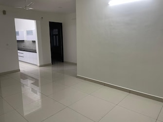 3 BHK Apartment For Rent in Maxxus Elanza International Airport Road Zirakpur  7973639