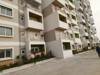 1 BHK Apartment For Rent in Salarpuria Sattva Park Cubix Devanahalli Bangalore  7973645