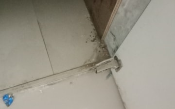 2.5 BHK Penthouse For Rent in Kedia The Palm, Vaishali Nagar