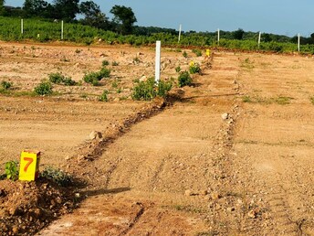 Plot For Resale in Jangaon Hyderabad  7973659