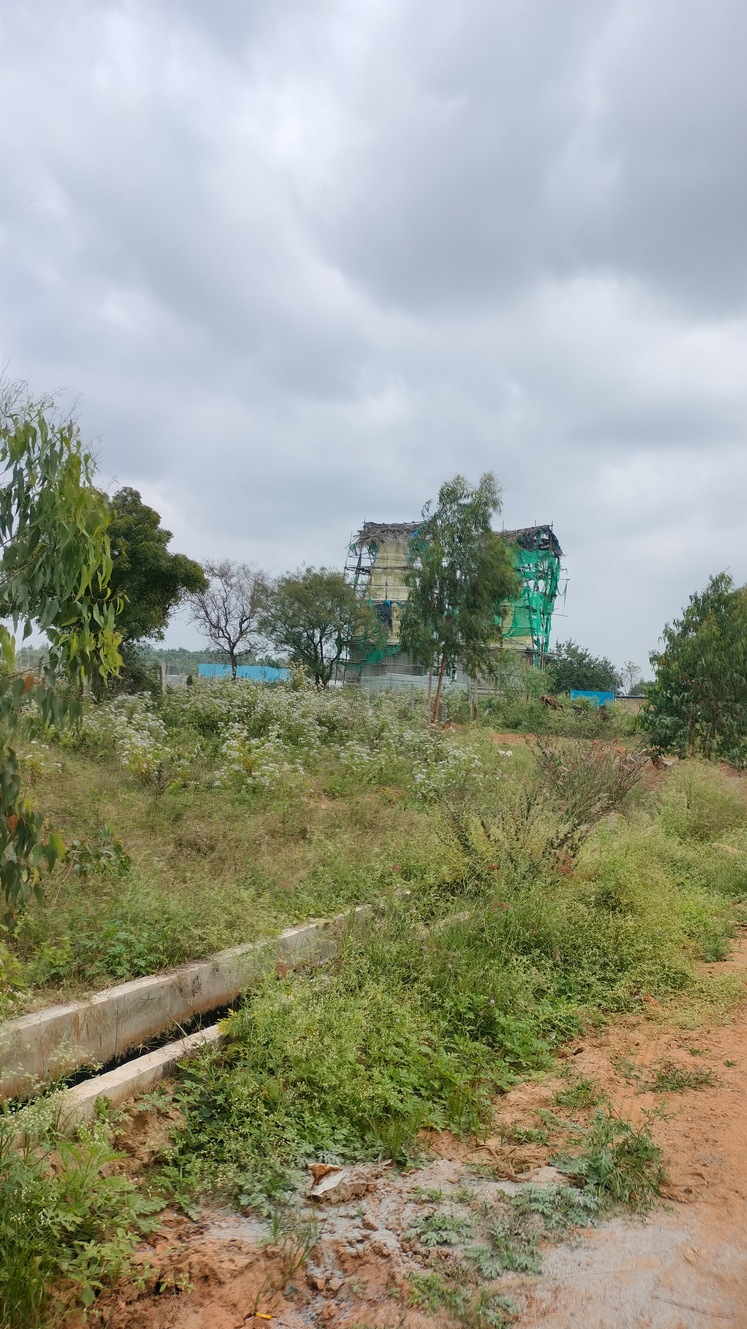 Plot For Sale in T H Layout 