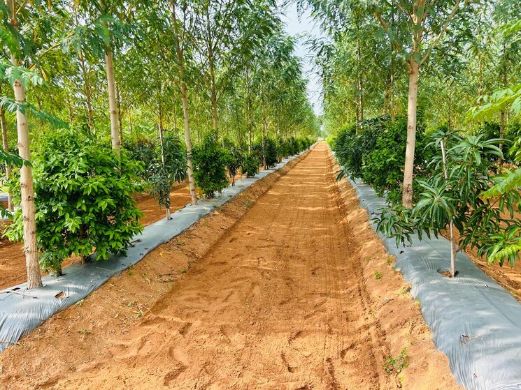 Exterior View, kacharam  240 Sq.Yd. Plot In Kacharam Yadagirigutta 7973691