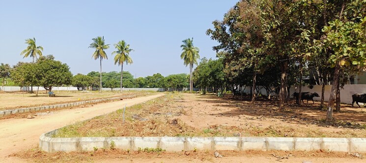 undefined, kothur  165 Sq.Yd. Plot In Kothur Hyderabad 7973703
