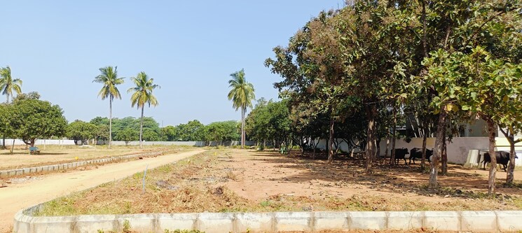 undefined, kothur  165 Sq.Yd. Plot In Kothur Hyderabad 7973703