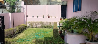 6 BHK Independent House For Resale in Anarwala Dehradun  7973724