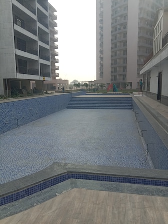 3 BHK Apartment For Resale in Pareena The Elite Residences Sector 99 Gurgaon  7973730