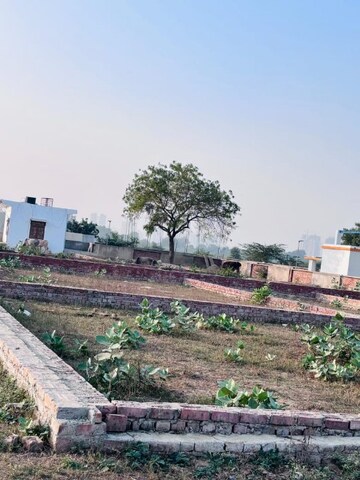 Plot Area in  Plot at Ahmamau – for Sale