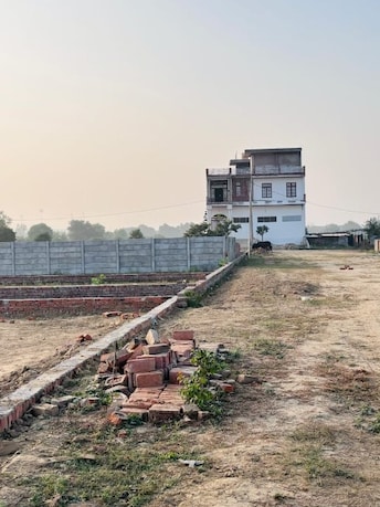 Plot For Resale in Ahmamau Lucknow  7973902