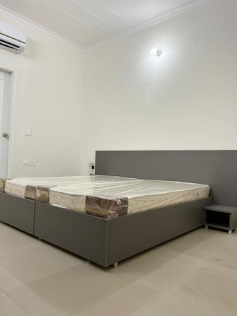 3 BHK Builder Floor For Rent in Unitech South City 1 South City 1 Gurgaon  7973983