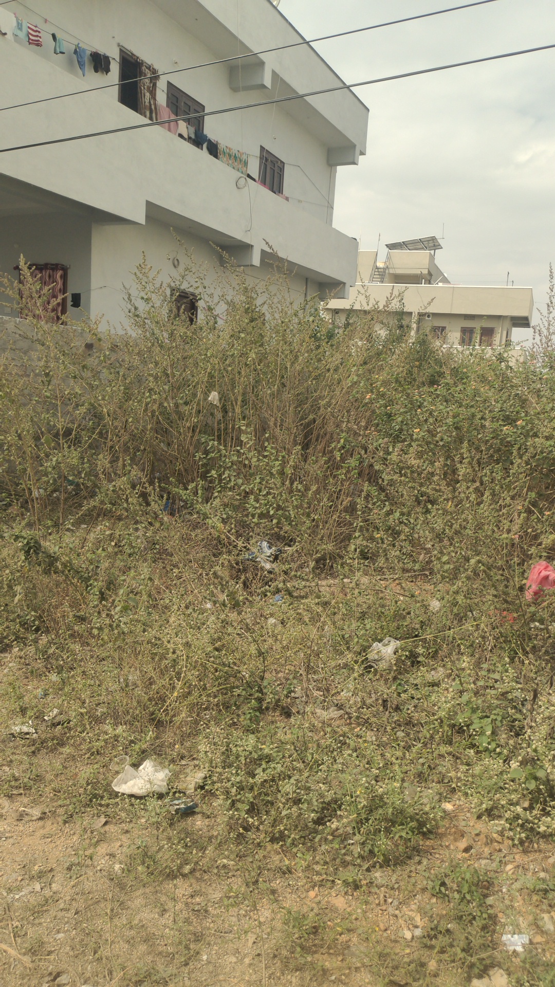 Plot For Sale in Hanuman Real Estate's 