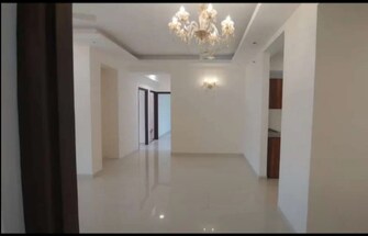 3 BHK Builder Floor For Rent in New Chandigarh Chandigarh  7974205