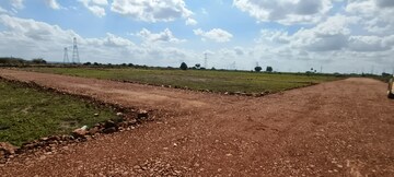 Plot For Resale in Nandyal Road Kurnool  7974262