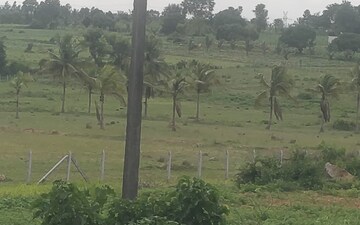 Plot For Sale in Chikkabettahalli