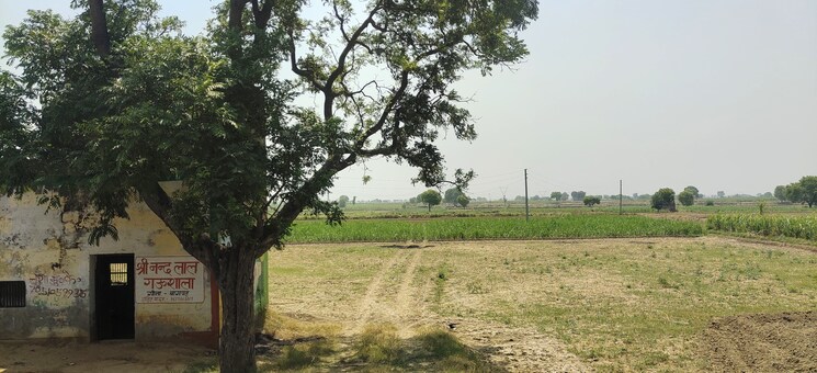 undefined, bptp-parkland  2250 Sq.Ft. Plot In Sector 75 Faridabad 7974473