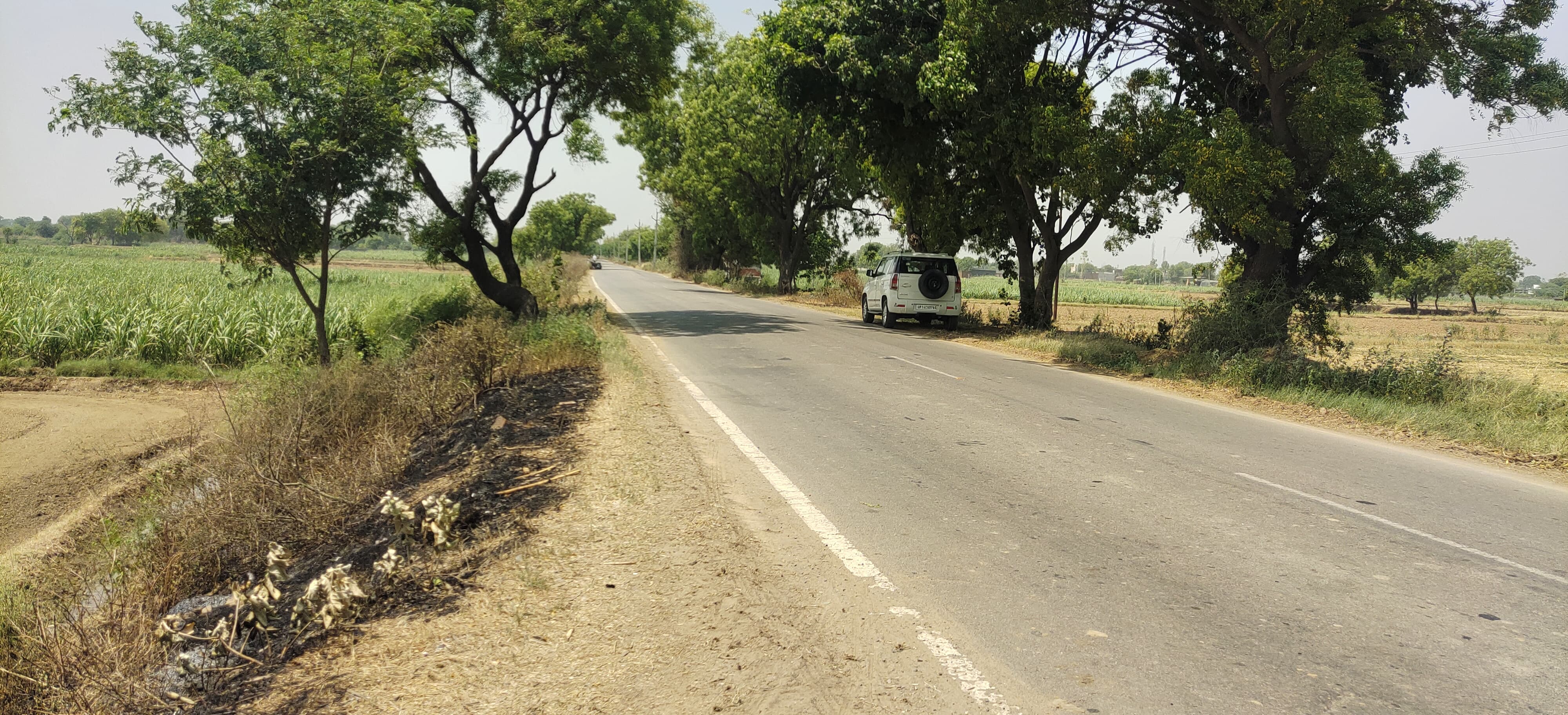 Plot For Sale in BPTP Parkland