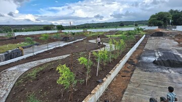 Plot Area in  Plot at Ringnodiya – for Sale