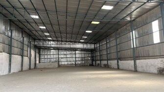 Commercial Warehouse 10000 Sq.Ft. For Resale in Sector 111 Faridabad  7974689