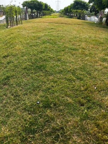  Plot – Garden View at Kukas - for Sale