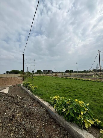 Plot For Resale in Paliya Indore  7974838