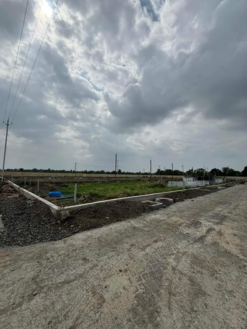Plot Area in  Plot at Paliya – for Sale