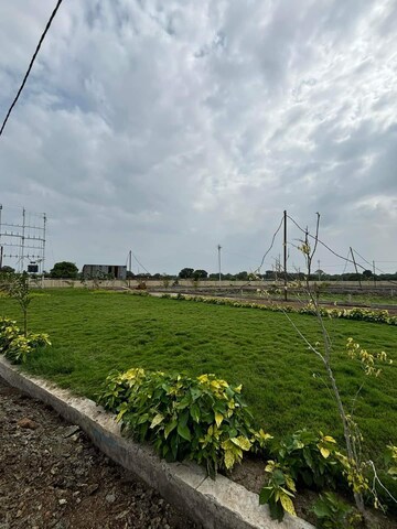 Plot Area in  Plot at Paliya – for Sale
