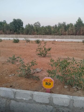 Plot Area in  Plot at Begur – for Sale