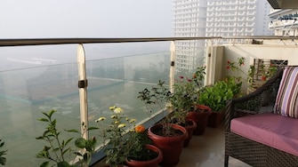 5 BHK Apartment For Rent in Tata Raheja Raisina Residency Sector 59 Gurgaon  7974977