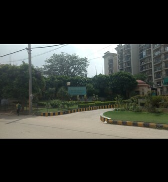 3.5 BHK Apartment For Rent in Cameron Courts Sector 43 Gurgaon  7975131