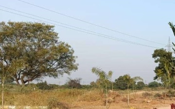 Plot For Sale in Paritala
