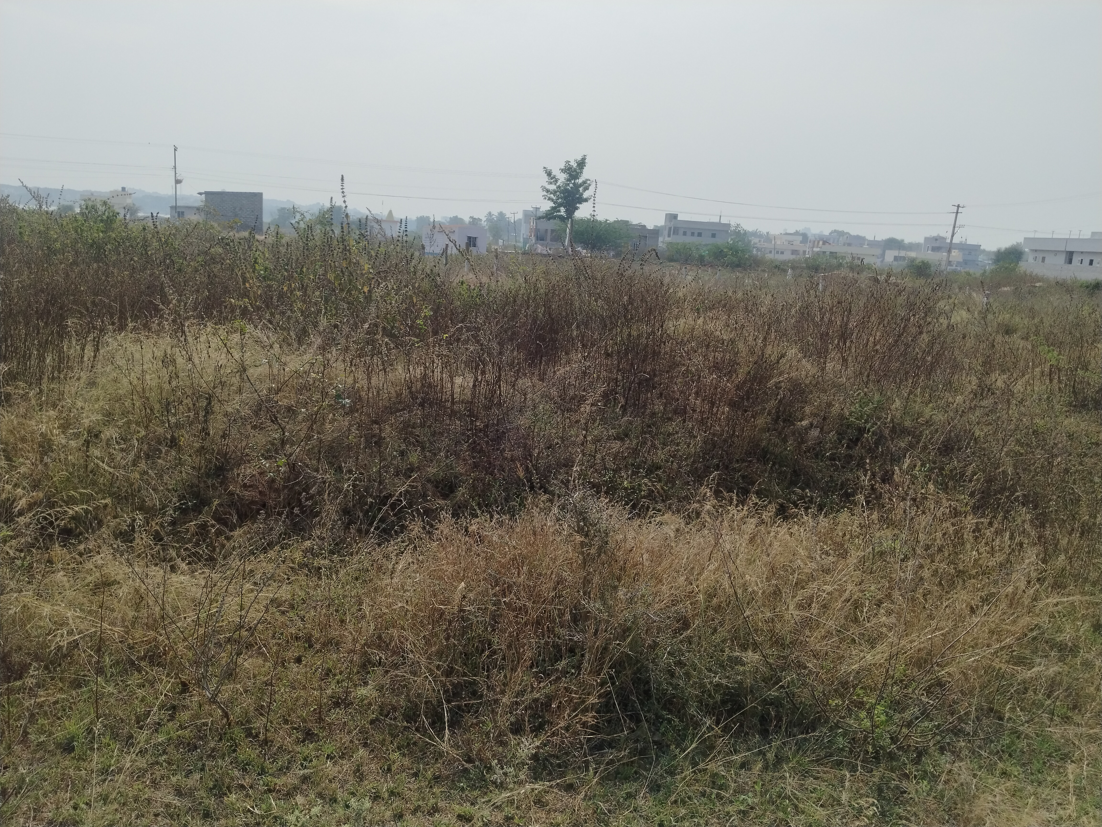Plot For Sale in Good Property 