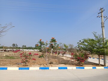  Plot – Exterior View View at Shamirpet - for Sale