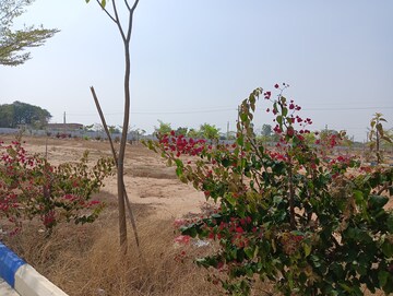 Plot Area in  Plot at Shamirpet – for Sale