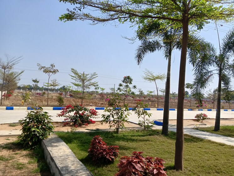 Garden, shamirpet  150 Sq.Yd. Plot In Shamirpet Hyderabad 7975089