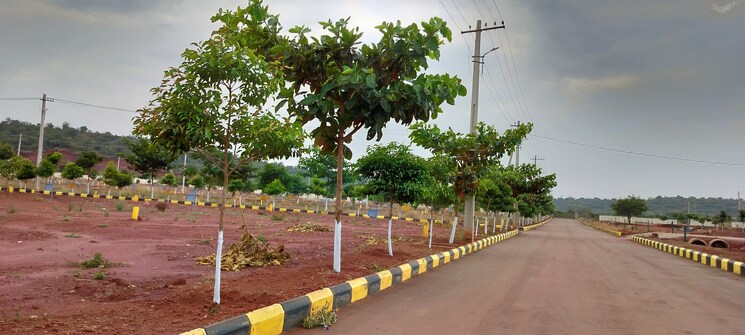 Garden, veltur  196 Sq.Yd. Plot In Veltur Sadashivpet 7975180