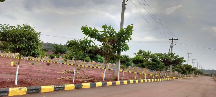 Garden, veltur  278 Sq.Yd. Plot In Veltur Sadashivpet 7975200