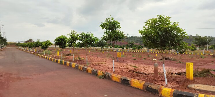 Garden, veltur  278 Sq.Yd. Plot In Veltur Sadashivpet 7975200
