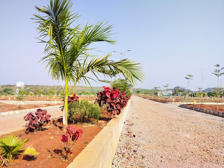 Garden, veltur  278 Sq.Yd. Plot In Veltur Sadashivpet 7975200