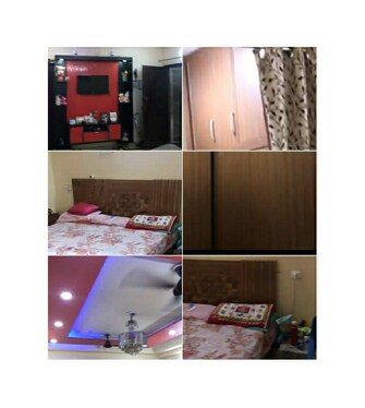 1 BHK Apartment For Rent in Gaur City 2 - 14th Avenue Noida Ext Sector 16c Greater Noida  7975312