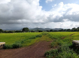 Plot For Resale in Nagalwadi Nashik  7975479