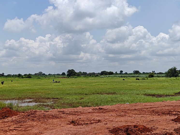 undefined, myron-royal-crest  205 Sq.Yd. Plot In Digwal Hyderabad 7975622