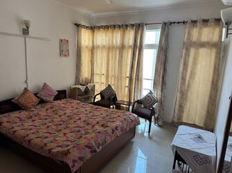 3 BHK Apartment For Rent in Jaypee Greens Pavilion Heights 2 Sector 128 Noida  7975906