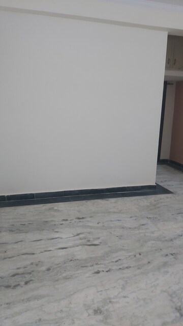 2.5 BHK Builder Floor For Rent in Mayur Vihar